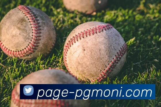 pg电子平台生态图